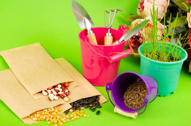 Gardening tools on green background. Gardening concept composition. View from above. Studio Photo
