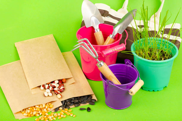 Gardening tools on green background. Gardening concept composition. View from above. Studio Photo