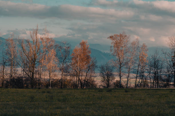 istock Autumn.  Trees on the background of mountains 1352112788