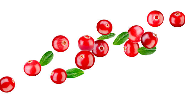 istock Set of cranberries with leaves flying in space isolated on white background. 1352120548