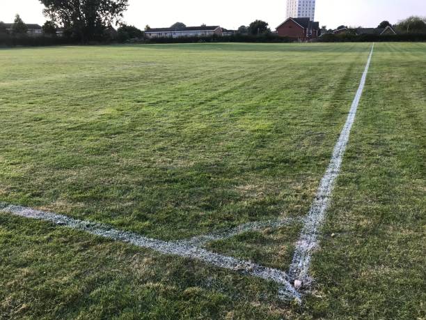 istock Football pitch markings 1352120623