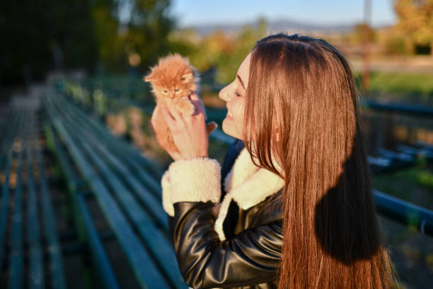 Beautiful Female Saving Stray Kitten On A Cold Autumn Morning