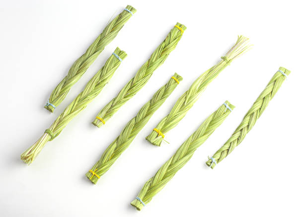 un sacco di trecce sweetgrass (hierochloe) su sfondo bianco - sweet grass foto e immagini stock