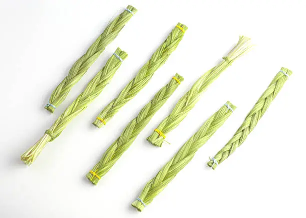 Photo of A lot of sweetgrass (Hierochloe) braids on white background