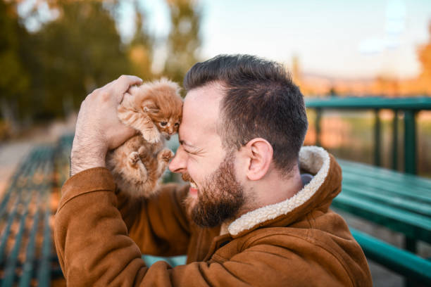 istock Male Nearly Crying After Finding His Lost Kitten Outside 1352121313