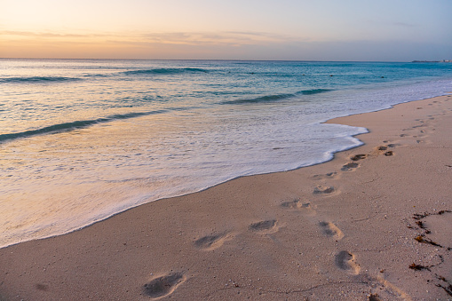 Footprints being Washed away from a Wave on the Beach in Cancun, Mexico