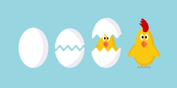 istock The process of hatching a chicken from an egg for the design of a website 1352122757