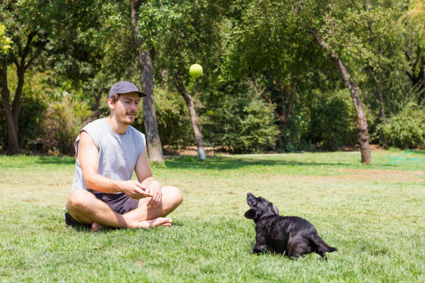 istock Young man playing with dog looking at park 1352126628