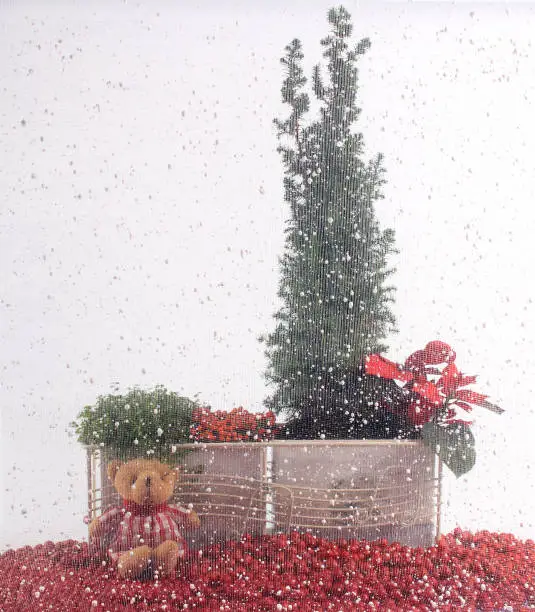 Photo of Christmas Plant, Bear, Balls, and Snow