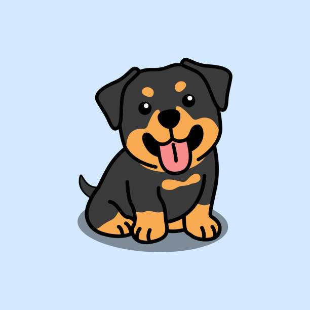 Cute rottweiler puppy sitting cartoon, vector illustration Cute rottweiler puppy sitting cartoon, vector illustration rottweiler stock illustrations