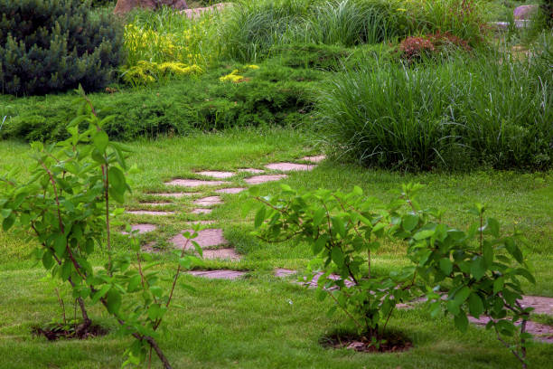 istock rough ornamental stone path paved in green backyard lawn, curved backyard walkway landscaping with bushes, nobody. 1352129895