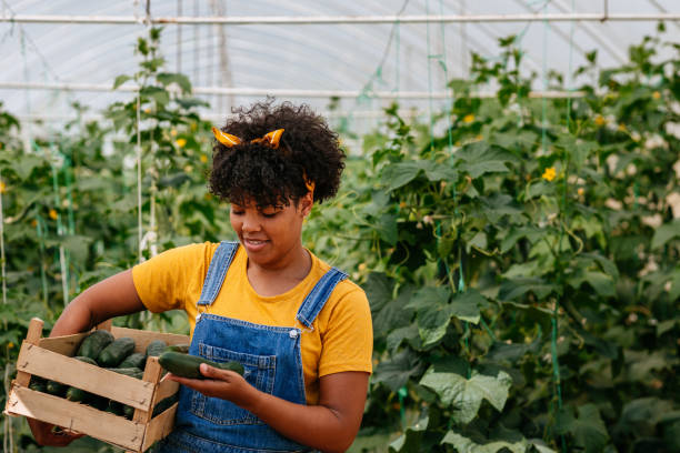 istock Black young woman working on her self owned farm 1352130014