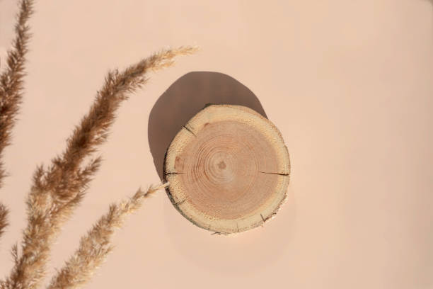 istock Woodcut lying on a trendy beige background with pampas grass 1352133773