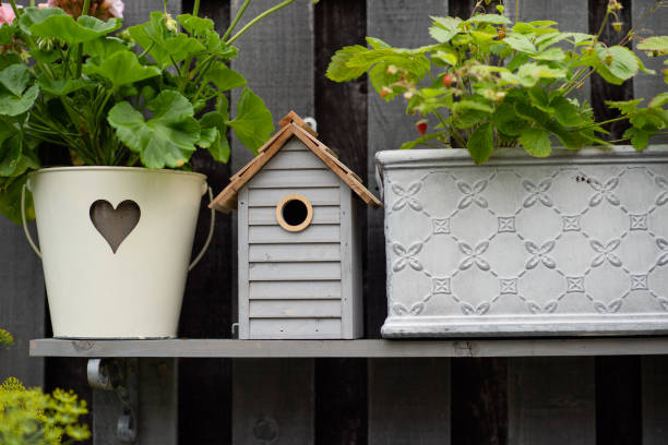 casa de pájaros y plantas en el jardín en el día de verano - birdhouse bird house ornamental garden fotografías e imágenes de stock