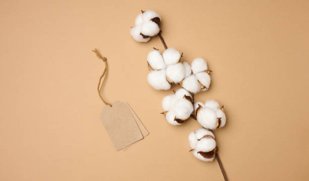 istock blank brown rectangular, round brown paper tag on a rope on a brown background, template for price, discount 1352136323