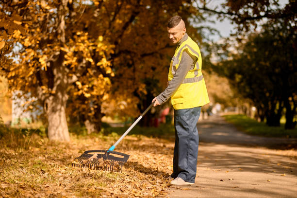 istock A man in a yellow vest with rake in the park 1352142875