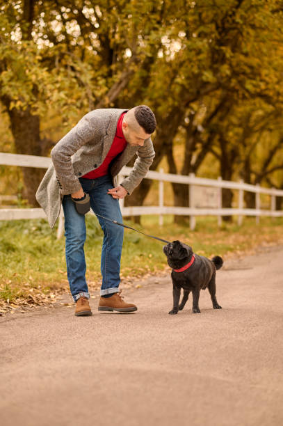 istock A man with a dog in the autumn park 1352142893