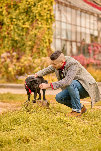 istock A man with a black dog in the autumn park 1352142965