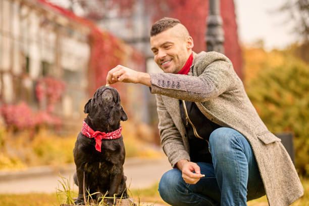 istock A man with a black dog in the autumn park 1352142974