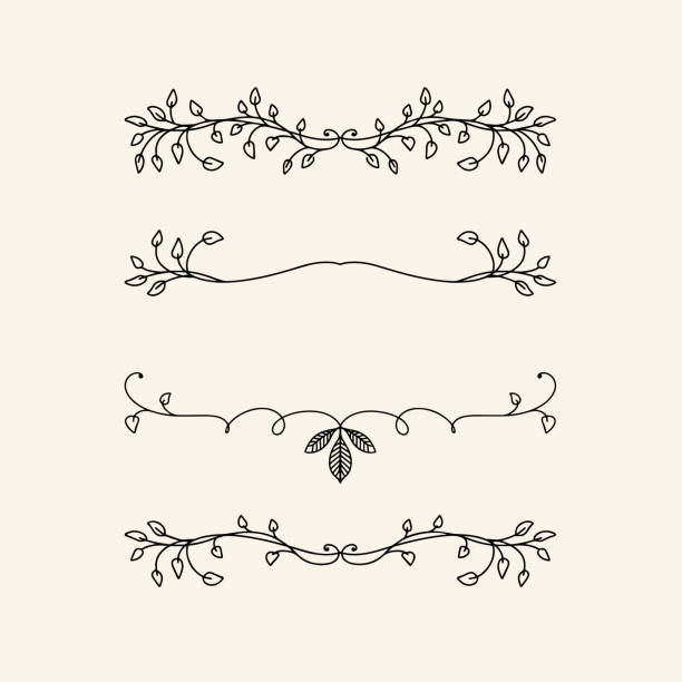 vector design element, beautiful fancy leaves vines curls and swirls divider or underline designs, black ink lines. Projects and wedding design element. vector design element, beautiful fancy leaves vines curls and swirls divider or underline designs, hand drawn black ink lines. Projects and wedding design element. wedding clipart stock illustrations