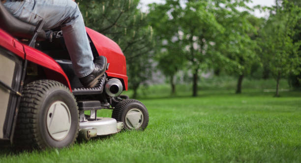 Lawn mower with driver mowing the grass on a green meadow. Copy space Close-up of an equestrian landscape architect on a lawn mower. Copy -space. garden tractor stock pictures, royalty-free photos & images