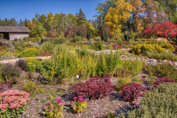 ノースダコタ州、米国、マニトバ州、カナダの間で分割された国際平和庭園 - manitoba north lake canada ストックフォトと画像