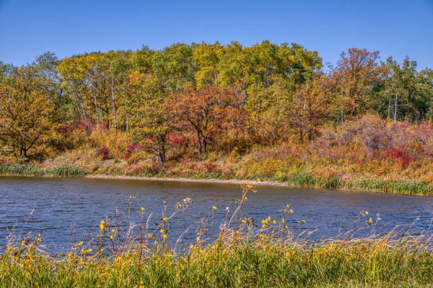 ノースダコタ州、米国、マニトバ州、カナダの間で分割された国際平和庭園 - manitoba north lake canada ストックフォトと画像