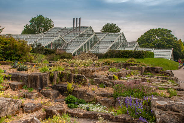 Princess of Wales Conservatory (architect Gordon Wilson) in Kew Gardens. Richmond, London, UK - Apr 9, 2019 : Princess of Wales Conservatory (architect Gordon Wilson) in Kew Gardens. Richmond, kew gardens spring stock pictures, royalty-free photos & images