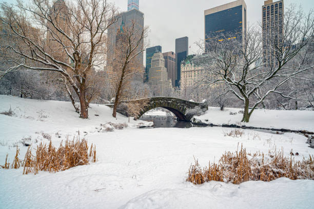 istock Gapstow Bridge in Central Park 1352153998