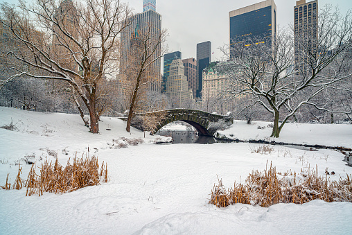 Gapstow Bridge in Central Park  after snows storm in the early morning