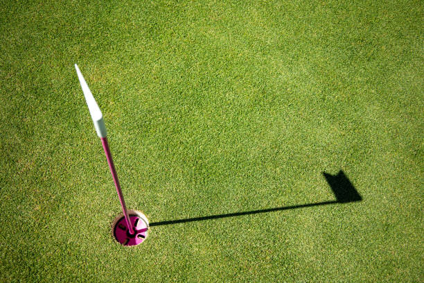 istock Hole marked with small flag at the mini golf area 1352155753