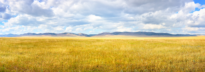 Panorama of the steppe against the background of mountain ranges on the horizon under a cloudy sky. Siberia, Russia