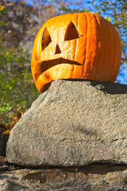 istock Autumn Jack O’Lantern  sports  crooked smile set on stone wall 1352163583