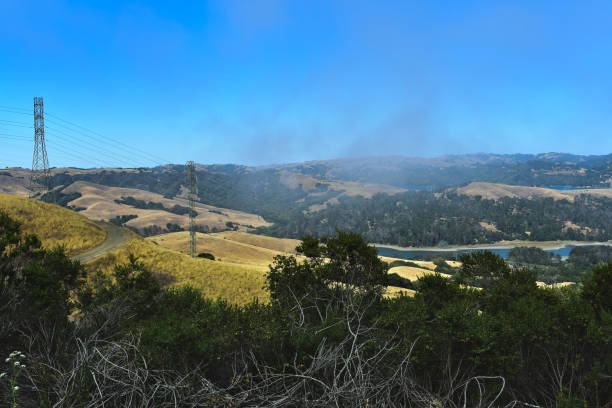 Trail, hiking course at Berkeley Hills California.