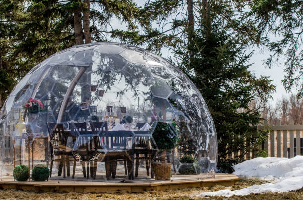 обед на открытом воздухе в пузырьковом куполе - igloo стоковые фото и изображения