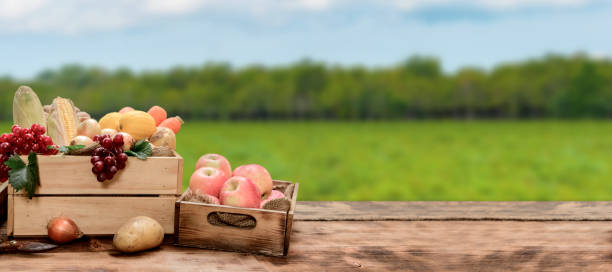 istock Fall harvest and Autumn season with fruit and vegetable 1352167996