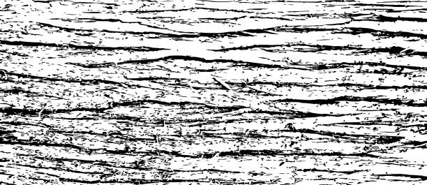 삼나무 껍질 질감 - bark backgrounds textured wood grain stock illustrations