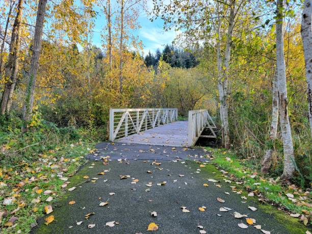 istock White Bridge to Autumn 2 1352175998