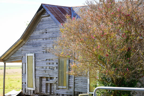 istock Old Farmhouse with Dilapidated Wood 1352179760