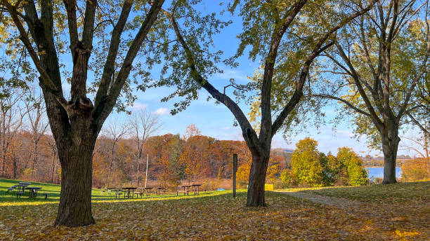 istock Autumn landscape in the park at Kelso conservation area. 1352182501