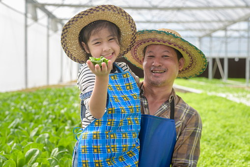 Happy farmer grandfather and little girl working in hydroponic greenhouse farm, clean food and healthy eating concept