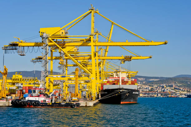 vista para o porto de carga de trieste (itália). - crane shipyard construction pulley - fotografias e filmes do acervo