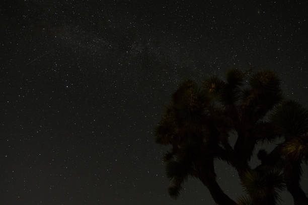 istock The Mojave Desert at night 1352191533