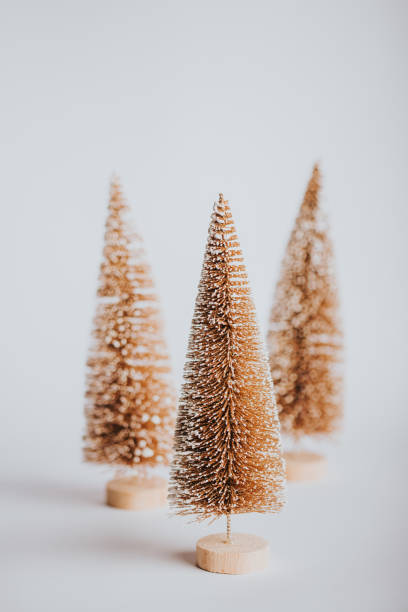 istock Golden pine trees on white background 1352192620
