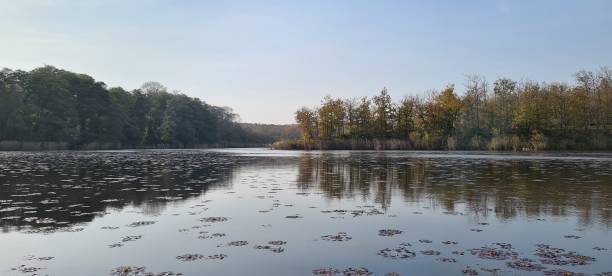 lake, water, nature, scenics, forest, landscape, i̇ğneada, kırklareli, turkey - kirklareli imagens e fotografias de stock