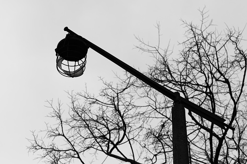 Broken vintage street lamp and silhouettes of bare trees under cloudy sky background, black and white photo