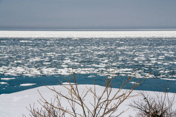 istock The sea where drift ice floats 1352197454