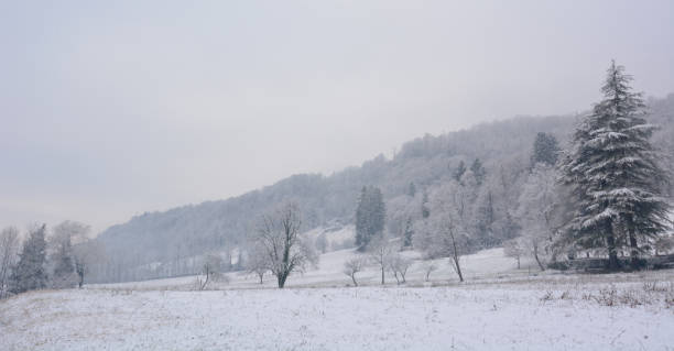 istock rural landscape under the snow 1352197773