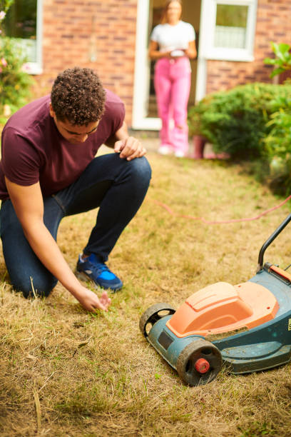 istock lawn in need of help 1352202291