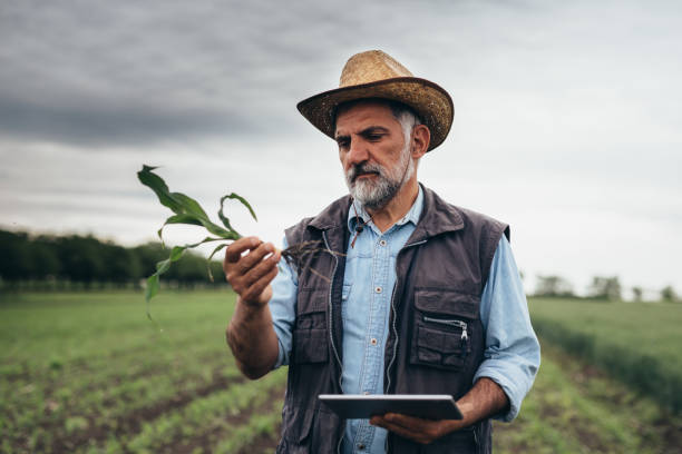 istock farmers on field 1352202473